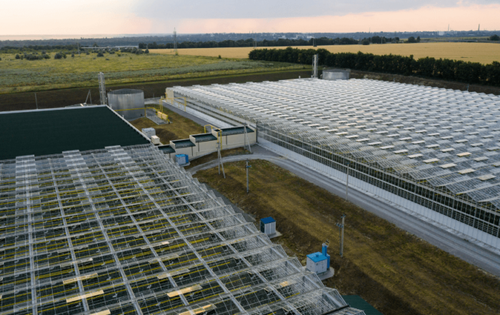 Controlled Environment Agriculture