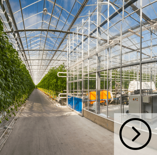 high tech greenhouse solutions - greenhouse climate control systems - smart sensors - UV light greenhouse