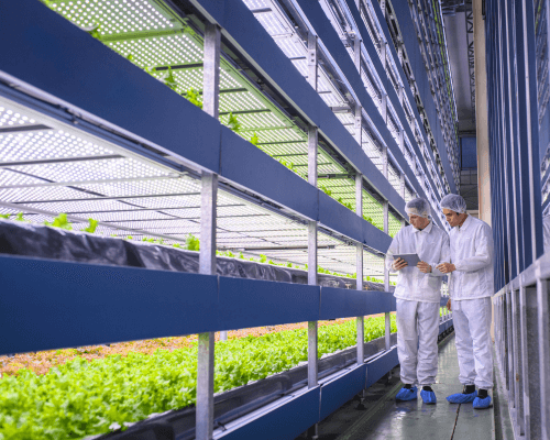Growing crops in a highly controllable environment - 
