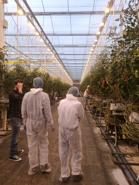 Dutch Horti Hub - Dutch horticulture collaboration - Dutch developments - Dutch greenhouse technologies - Dutch greenhouse projects