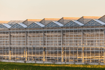 Dutch greenhouses - build greenhouses - dutch horticulture - dutch agriculture technologies