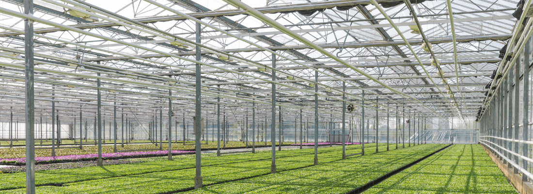 Controlled Environment Agriculture CEA offers year-round crop production with indoor production and indoor farming