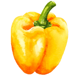 growing peppers in a greenhouse