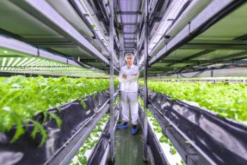 vertical farming solutions - vertical farming technologies - vertical farming production - indoor farming - urban farming - controlled enviroment agriculture