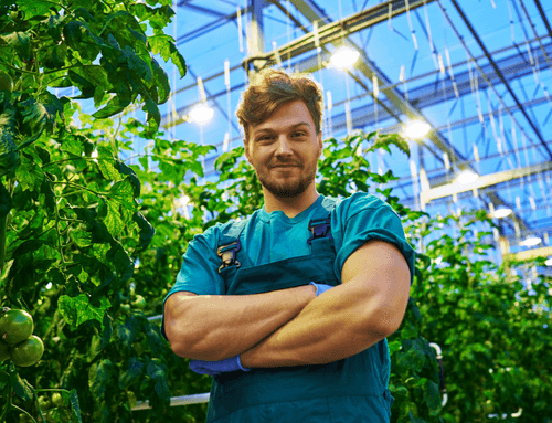 How hard is hydroponic growing? The risks mapped out