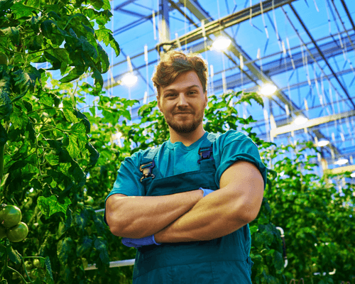 hydropic modern greenhouse grower in a greenhouse