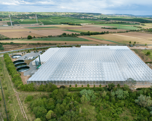 commercial RO unit - reverse osmosis for clean water in greenhouse