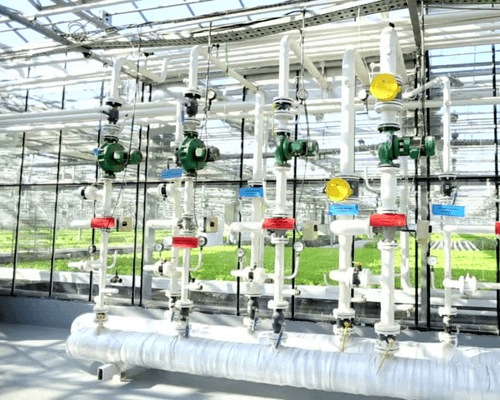 irrigation in greenhouses - irrigation system for greenhouses