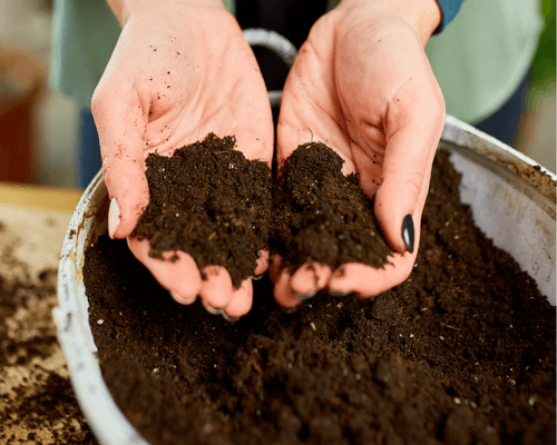 using coco coir for plants to grow crops efficiently