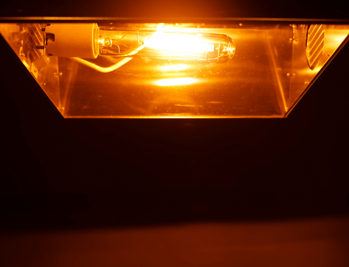 What is the difference between efficiency and efficacy of plant lights?