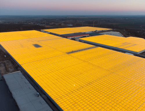 8 Examples on how supplementary grow lights are used for crops in Dutch greenhouses