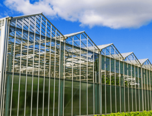 6 Benefits of Controlled Environment Agriculture (CEA) compared with open field production