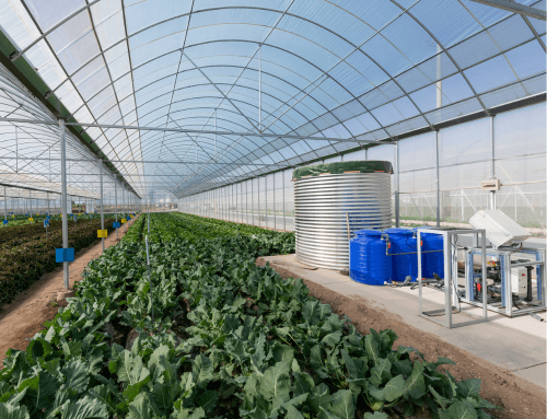 Question of the day: “What can Greenhouse Environmental Control Systems control?”